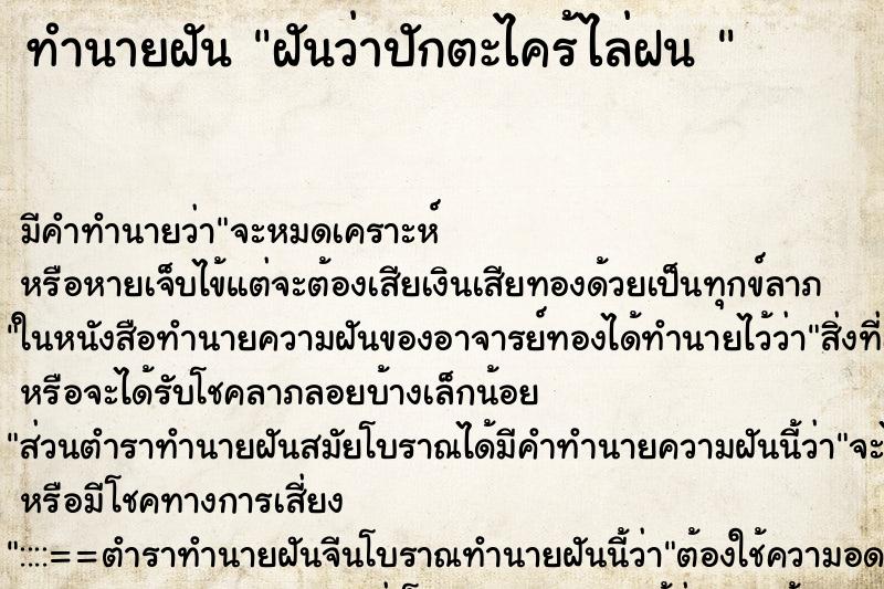 ทำนายฝัน ฝันว่าปักตะไคร้ไล่ฝน 